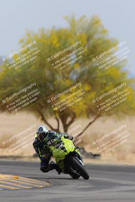 media/Apr-12-2025-Race Pace (Sat) [[9230add55f]]/Vested/6-Turn 4 Tree of Life (115pm)/